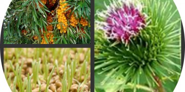 Öle gegen Haarausfall