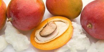 Mangoölmasken für die Haare