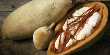 Haarmasken mit Baobaböl