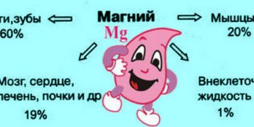 Die Bedeutung von Magnesium für den weiblichen Körper