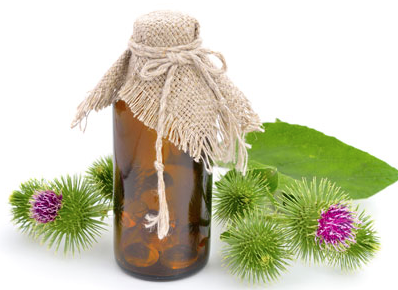 Klettenöl für die Haare