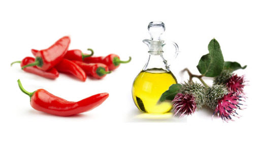 Maske für intensiven Haarausfall