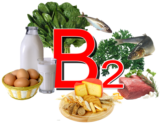 Warum brauchen Haare Vitamin B2