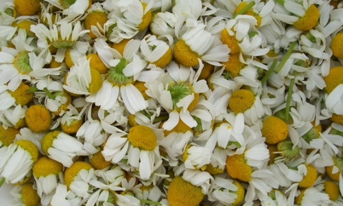 Natürliche Haarfärbemittel