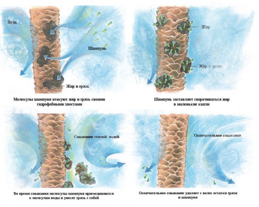 So verwenden Sie Shampoos richtig