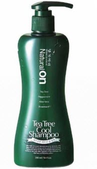 Daeng Gi Meo Ri naturalon Teebaum-Kühlshampoo